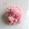 Artificial Moss Wall Decor Eternal Life DIY Micro Landscape Craft Material 10
