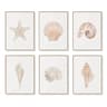 Watercolor Sea Shell Wall Art Canvas Set Starfish Coastal Prints For Living Room Decor 9