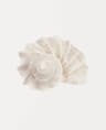 Watercolor Sea Shell Wall Art Canvas Set Starfish Coastal Prints For Living Room Decor 12