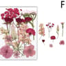 Natural Dried Flower Resin Fillings For Nail Art Jewelry  DIY Craft Decor 11