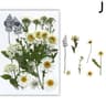Natural Dried Flower Resin Fillings For Nail Art Jewelry  DIY Craft Decor 15