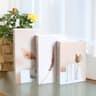 Luxury Decorative Fake Book Set For Coffee Table Home Styling 29