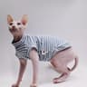 Cooling Cotton Summer Vest For Sphynx  Hairless Cats 9