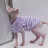 Cooling Cotton Summer Vest For Sphynx  Hairless Cats 6