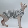 Cooling Cotton Summer Vest For Sphynx  Hairless Cats 8