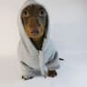 Cute Sausage Dog Hoodie For Small Dogs Warm Dachshund Pullover Sweater 6