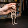 Poseable Glow In The Dark Magnetic Skull Fridge Magnet Funny Halloween Kitchen Decor 7