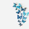 FlutterPop Colorful Butterfly Decal Set 7
