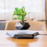 Levitating Air Bonsai Pot Rotation Flower Pot Planter Magnetic Suspension Floating Pot 9