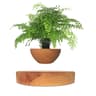 Levitating Air Bonsai Pot Rotation Flower Pot Planter Magnetic Suspension Floating Pot 6