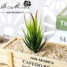 Artificial Desktop Succulent  HighPerformance 7x10cm Faux Plant For Garden Home DIY  Office Decorat 6