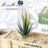 Artificial Desktop Succulent  HighPerformance 7x10cm Faux Plant For Garden Home DIY  Office Decorat 8