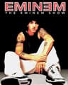 Eminem Super Rapper Legend Poster  Slim Shady Rap Icon Canvas Painting For Home Decor 22