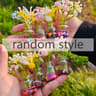 GlowintheDark Miniature Floral Vase  Dashboard  Desktop Aesthetic Ornament 7