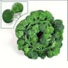 Artificial Green Ivy Vine Garland  2M Fake Leaf Rattan Hanging Creeper For Garden Wedding  Wall Dec 9