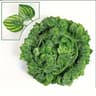 Artificial Green Ivy Vine Garland  2M Fake Leaf Rattan Hanging Creeper For Garden Wedding  Wall Dec 10