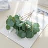 10Pcs Silk Eucalyptus Leaves  Artificial Silver Dollar Greenery  Faux Plants For Wedding Decor  Hom 7
