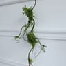 Artificial Dead Tree Vine Rattan  Realistic Twisted Jungle Branch  Modern Pipe Landscaping  Wedding 6