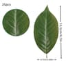Simulated Magnolia Foliage Set  25pc Premium PU Artificial Leaves  Executive Floral  Studio Sanctua 9