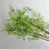 Botanical Fern Frond  RealTouch Artisan Greenery  Executive Studio  Living Room Sanctuary Decor 7