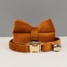 Luxury Personalized Velvet Cat Collar With Custom Name Plate Bell And Detachable Bow Tie 17