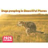 2026 Pooping Dog Calendar Year Monthly Planner Schedule Organizer Wall Calendar 6