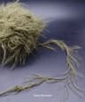 Soft Plush Fur Yarn 100g Fluffy Puffy Crochet And Knitting Wool Yarn 7
