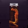 Alien Xenomorph Specimen Jar Prop Replica Facehugger Embryo Containment Pod 7