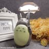 Creative Cartoon Totoro LED Reading Desk Lamp  Night Light USB Rechargeable 6