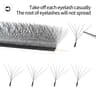 Panoramic Bloom W Series Eyelash Collection 10