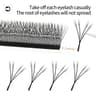Panoramic Bloom W Series Eyelash Collection 15