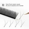 Panoramic Bloom W Series Eyelash Collection 6