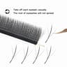 Panoramic Bloom W Series Eyelash Collection 16