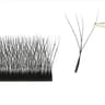 Volumetric Bloom 4D Quad Lash Series 3