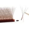 Volumetric Bloom 4D Quad Lash Series 4