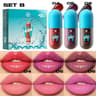 Elite Mini Velvet Matte Lip Gloss Series 6