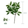 Silver Dollar Artificial Eucalyptus Greenery Stem 14