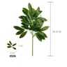 Silver Dollar Artificial Eucalyptus Greenery Stem 19