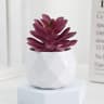 Evergreen Architectural Simulation Succulent Bonsai 15