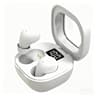 Invisible Earbuds Bluetooth Mini Wireless TWS Earbuds with Noise Reduction & Mic