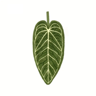 Tropical Leaf Quick Dry Absorbent Kitchen Towel 6