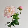 Artificial Peony Bouquet For Wedding And Farmhouse Decor 8