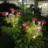 Solar Snow Lotus Flower Garden Light for Yard Patio and Lawn