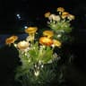 Solar Snow Lotus Flower Garden Light for Yard Patio and Lawn