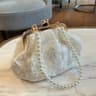 Embroidered Evening Clutch Purse With Pearl Chain And Clip Closure 0