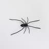 Realistic Spider Fridge Magnets  Fun Novelty Magnetic Home  Garage Decor 6