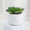 Mini Artificial Succulent Bonsai Plant  Realistic Fake Cactus Decor For Home  Office 8