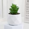 Mini Artificial Succulent Bonsai Plant  Realistic Fake Cactus Decor For Home  Office 15