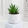 Mini Artificial Succulent Bonsai Plant  Realistic Fake Cactus Decor For Home  Office 9