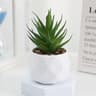 Mini Artificial Succulent Bonsai Plant  Realistic Fake Cactus Decor For Home  Office 13